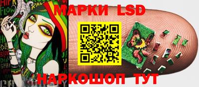гашик Новодвинск