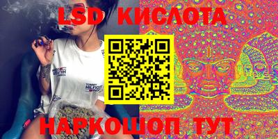 ECSTASY Новозыбков