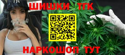гашик Новодвинск