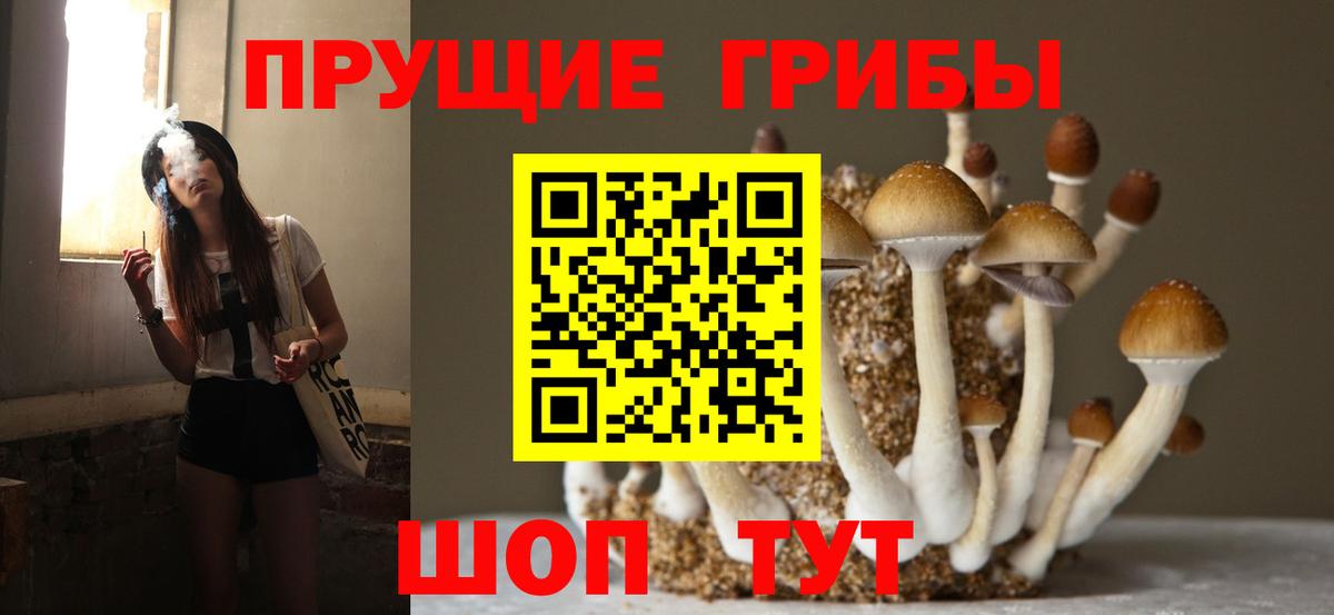 Псилоцибиновые грибы Cubensis Северобайкальск